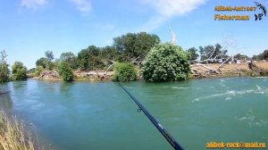 Ловля шамайки на опарыш.