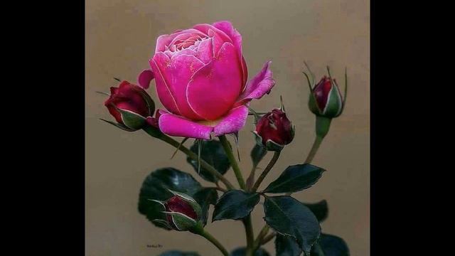 О гордости как причине впадения в тяжёлые нравственные пороки смотреть онлайн