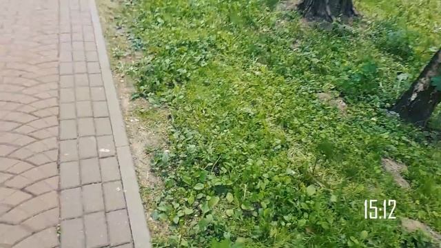 ЗНАКОМСТВО С МИНСКОМ//БИБЛИОТЕКА//DV смотреть онлайн
