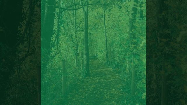 Чувство (Концентрация)