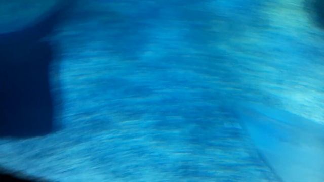 КИРА И ПОХОД В АКВАРИУМ СТАМБУЛ. AKVRYUM ISTANBUL смотреть онлайн