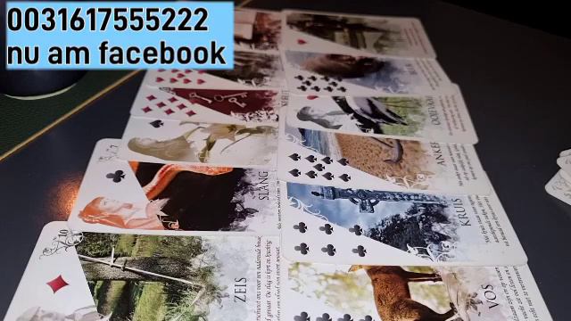 PEȘTI GENERAL 2022 -nr meu de telefon 0031617555222 nu am facebook смотреть онлайн