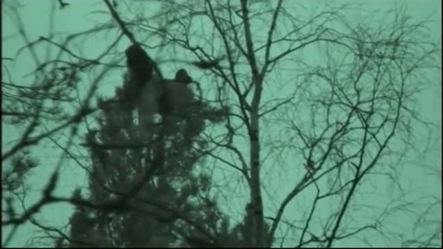 На глухаря с ночевкой