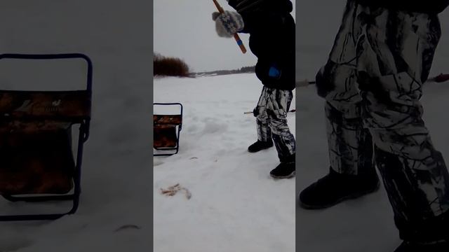 В первый раз на рыбалке с мамой. Ерши. смотреть онлайн