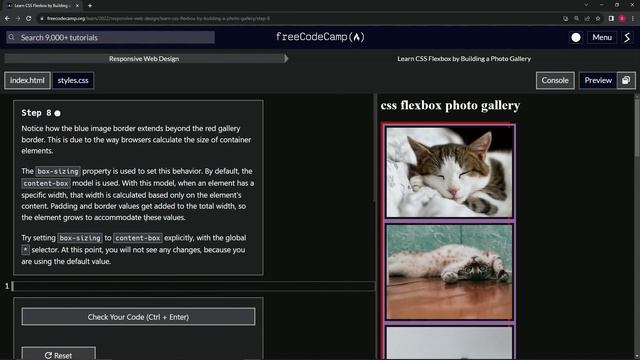 FreeCodeCamp | Learn CSS Flexbox by Building a Photo Gallery: Step 8 | Responsive Web Design смотреть онлайн
