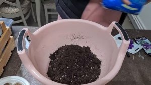 Выращивание эустомы из семян. Правильный посев эустомы.