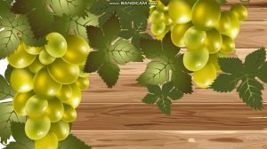 Урок 1 Векторная графика