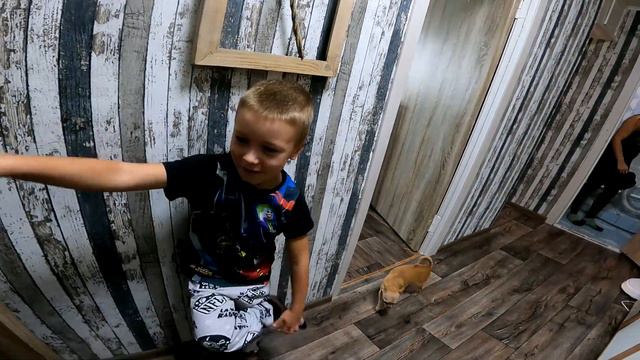 ||ДЕНЬ 928|| Уехал в Запорожье. Дохлые голуби. Отменили дневной сон. смотреть онлайн