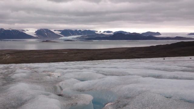 L.I.F.E. for Measurements of Biomarkers in Cryospheric Habitats | Protocol Preview смотреть онлайн