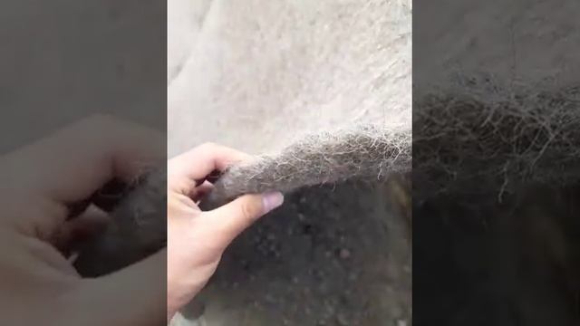 #валяние Wool felt, войлок шерсть, кошма, кийиз, кигиз, buxoro kigiz, namat смотреть онлайн