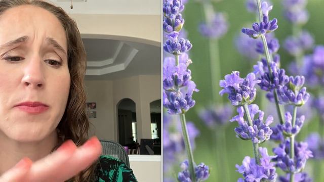 Spring Is In The Air! New Collection