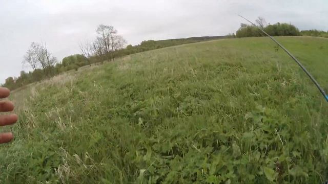 Ловим рыбу и любуемся балаболками. смотреть онлайн