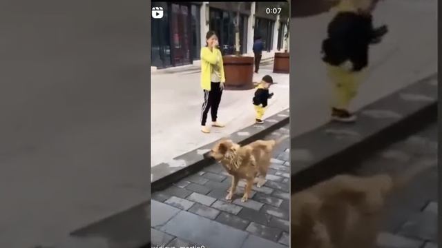 танцор диско смотреть онлайн