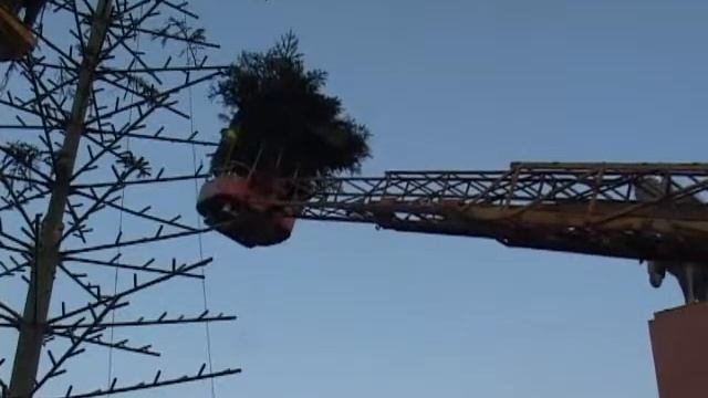 Скоро, скоро Новый год! смотреть онлайн