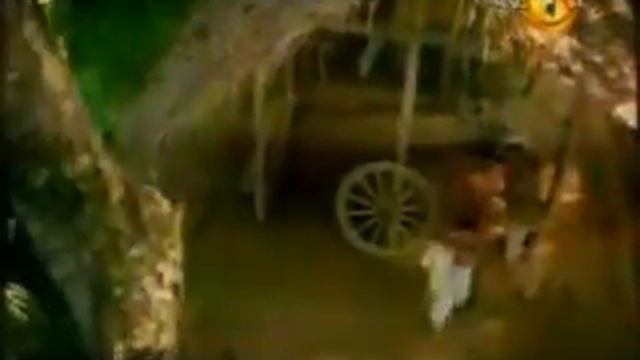 Sarath fonseka Song_Ranidu.flv смотреть онлайн