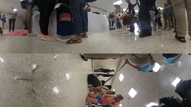 Service Dogs visit UTMB смотреть онлайн