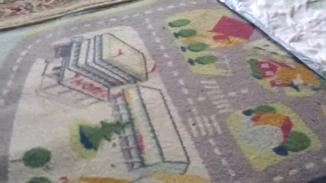 Русский охотничий спаниель (РОС). Отработка подачи. Щенок 1.5 мес смотреть онлайн