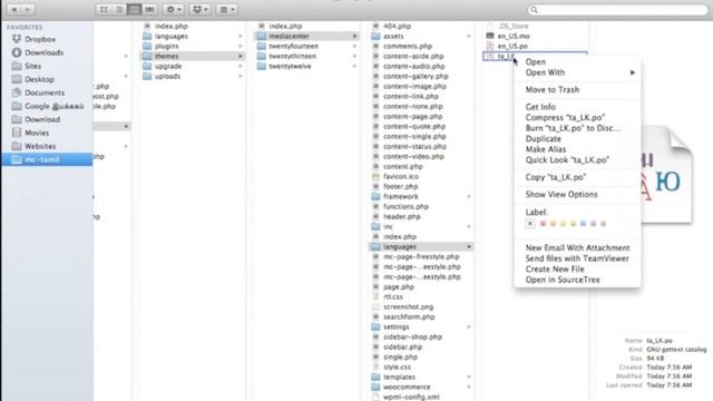 Translating MediaCenter Wordpress Theme смотреть онлайн