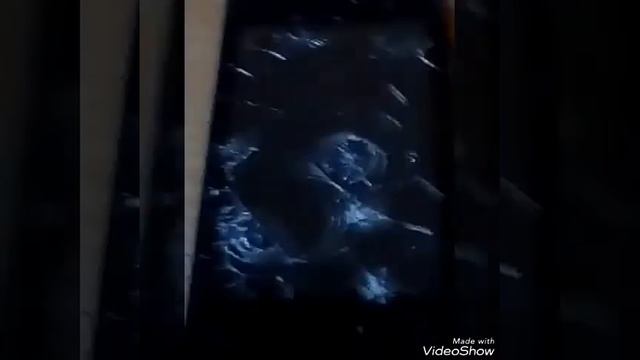 Стреляют в свой старый телефон. смотреть онлайн