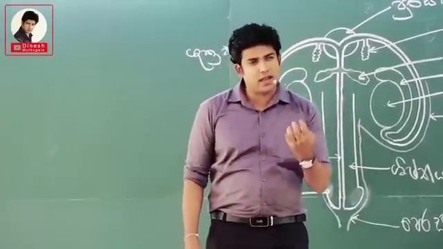 ප්රජනන පාඩම Part 1 | Dinesh Muthugala | #dineshmuthugala #biokuppiya смотреть онлайн