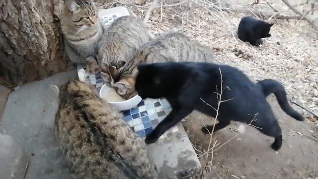 28 ноября 2023г., минус 4 ночю. (1) смотреть онлайн