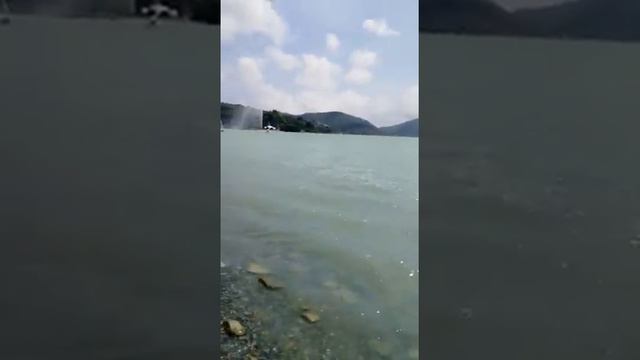 12 июня 2020 г.толстолоб в абрау смотреть онлайн