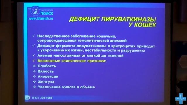 Гемолитические анемии собак и кошек смотреть онлайн