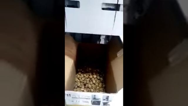 Оборудование для колки грецкого ореха (орехокол) смотреть онлайн