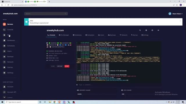 SneakyHub - How To Setup a Server + Showcase [Best Hosting Service For FiveM & More] смотреть онлайн