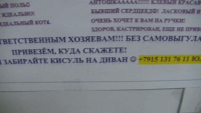 Доска объявлений о животных. Ветклиника Бемби улица Цюрупы дом 3. март 2021 г.