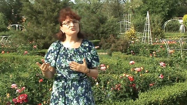 Конфликт и совместимость. Курс "Подготовка к гармоничной семье" ч.49. смотреть онлайн