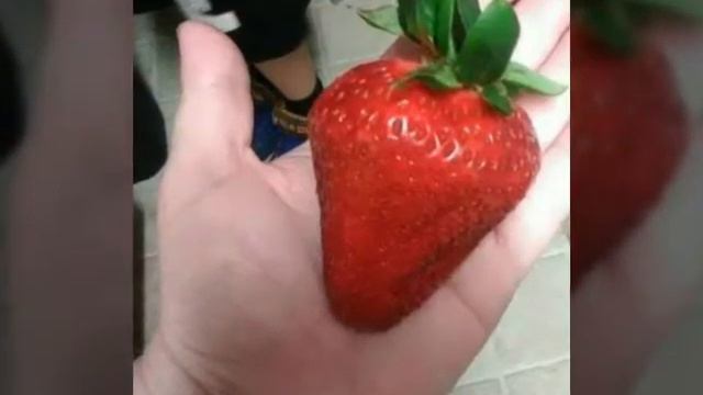 10 людей которым повезло с едой!) смотреть онлайн