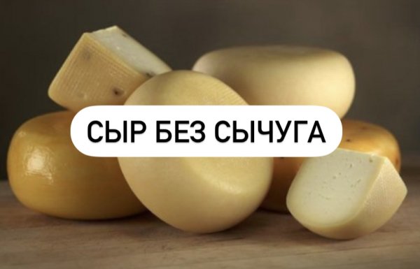 Сыр без сычуга