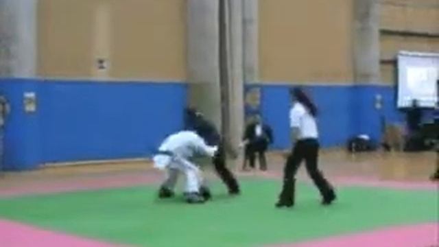 niten-ichi-ryu fiorano modenese (combattimenti) смотреть онлайн