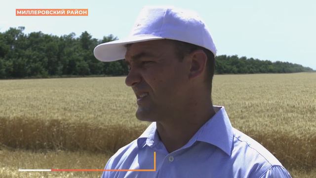 Больше трех миллионов тонн зерна собрали донские аграрии смотреть онлайн