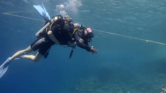 Дайвинг Шарм Эль Шейх 2015 | Diving Sharm El Sheikh смотреть онлайн