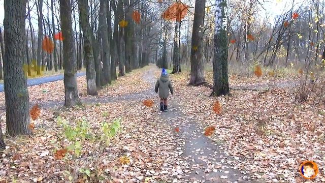 ✅Цвет настроения ОСЕНЬ. Гуляем по осеннему лесу. смотреть онлайн