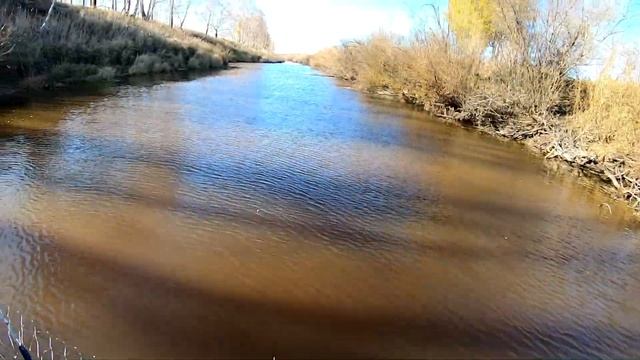 НОВАЯ СЕТЬ ПОРАДОВАЛА МЕНЯ ШИКАРНЫМИ ТРОФЕЯМИ. УДАЧНАЯ ОСЕННЯЯ РЫБАЛКА НА НАКИДКУ.САЗАН,ЯЗЬ,СУДАК!! смотреть онлайн