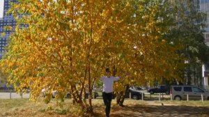 ГДЕ В ЕКБ ЖИТЬ ХОРОШО / Рейтинг МИКРОрайонов Екатеринбурга / ИНСТРУКЦИЯ 8