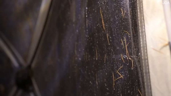 Кемпинг в дождливую погоду   JOAㅣ정말 좋았던 우중차박ㅣ빗소리 ASMR