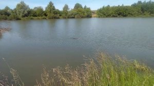 Удмуртия Позимский пруд