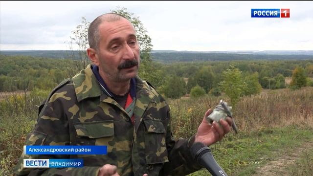В деревне Звягины горы Александровского района вновь появилось электричество смотреть онлайн