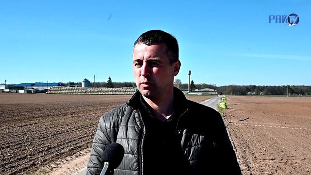 Акцент на "царицу полей" и "второй хлеб" смотреть онлайн