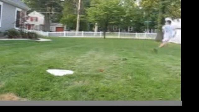 Wiffle Ball Game 1 Series 1 смотреть онлайн