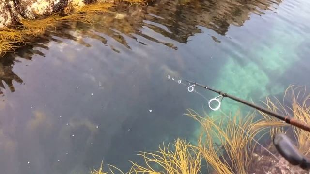 WRASSE ON LURES, Texas Rigged Sand Worm! смотреть онлайн
