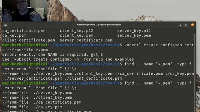 Using find command to build a certificate configmap from previously generated certs via Kubectl смотреть онлайн