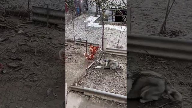 Встреча друзей, после "долгой" разлуки... смотреть онлайн