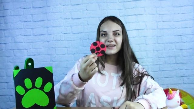 DIY Канцелярия в стиле Леди Баг и Супер Кота Своими Руками Back To School Алина Зосим смотреть онлайн