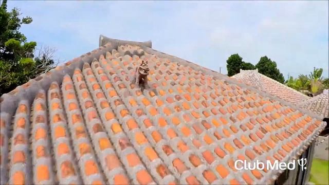 Club Med Kabira, о. Исигаки, префектура Окинава, Япония смотреть онлайн