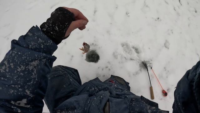 Спонтанная рыбалка. Проверяем местные реки. смотреть онлайн